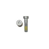 AH-COLLAR SCREW M10X35 ISA45 - 0032100356S