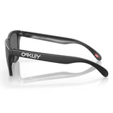 Oakley Frogskins Sunglasses