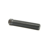 SCREW M10X1.25X50 WS10 (50304040100)