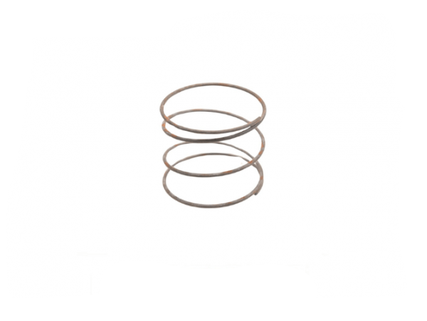 RATCHET WHEEL SPRING