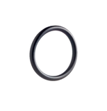 O-RING VITON F. PLUG CPC 05 (58507012000)