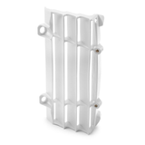 RADIATOR PROTECTION GRILLE (2019-2023) (79135034000)