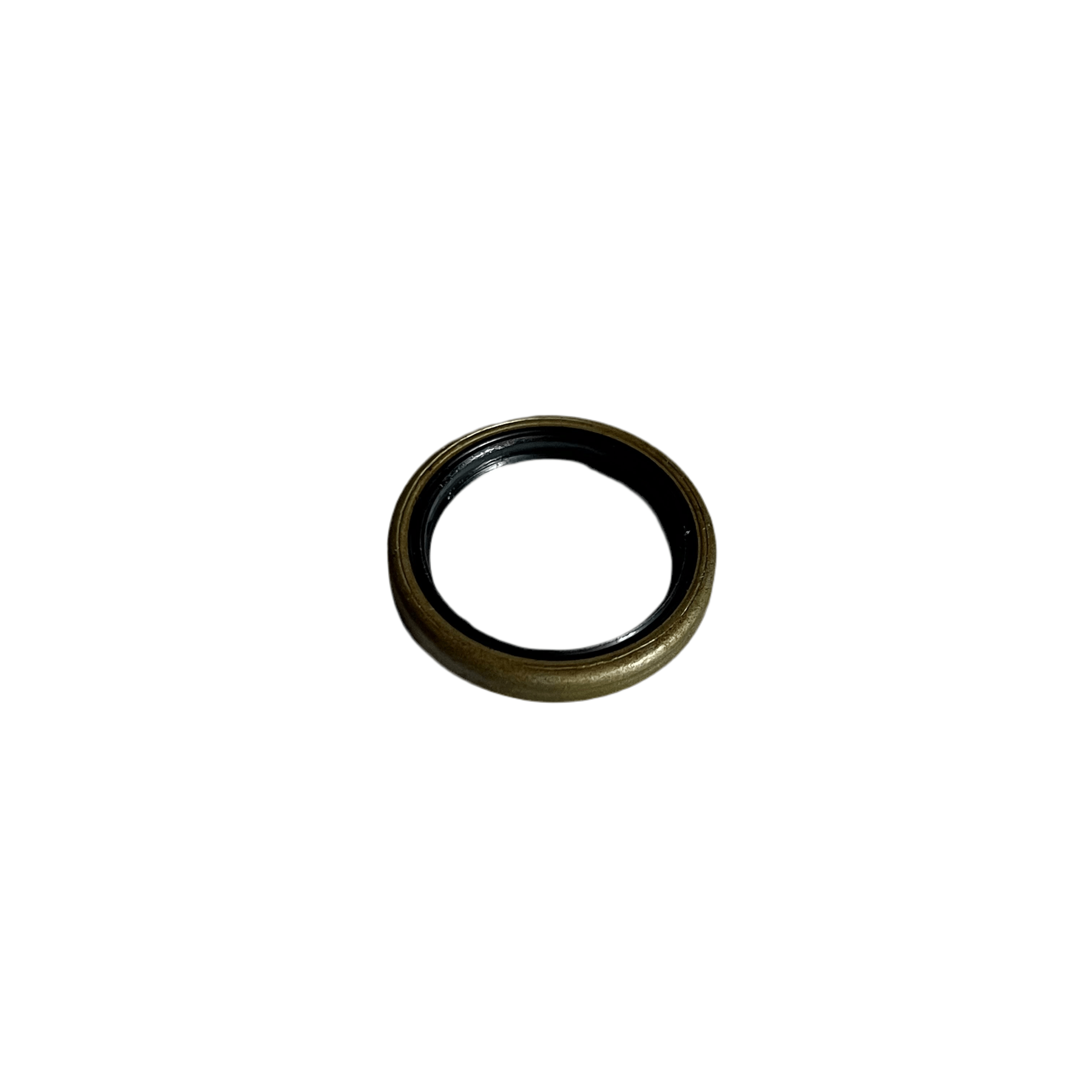 SHAFT SEAL RING G22x28x4
