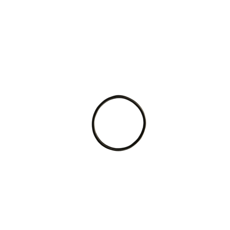 BENDIXSPRING