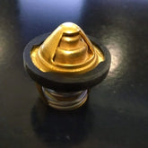 C3 Thermostat Element