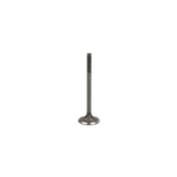 Inlet valve