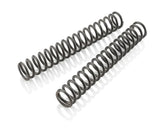 MAIN SPRING (43.8) 3.8-470 FORK CMPL. S809900030S0000