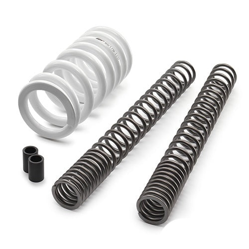 Husqvarna 401 Lowering Kit - BFD Moto