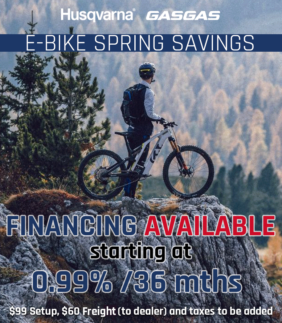 Spring Saving on Electric Bicycles