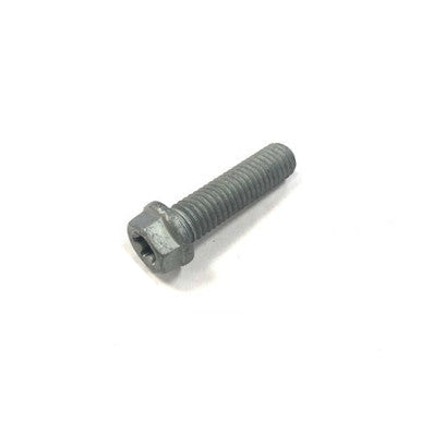 HH Collar Screw M8x30 (0025080306)