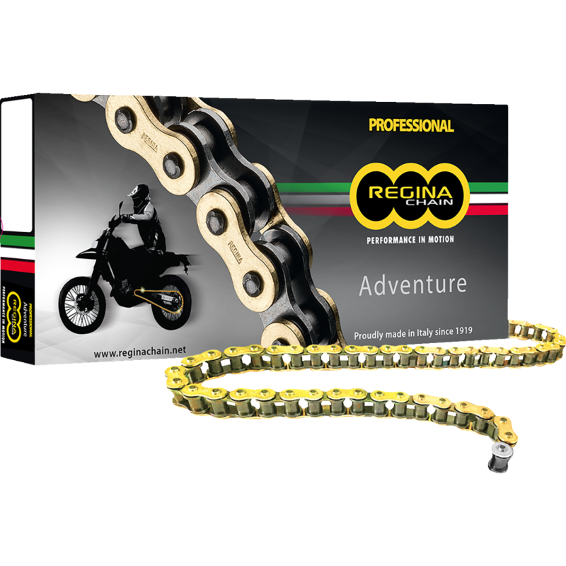 REGINA 520 ZRE X 120 LINKS