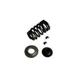 VALVE SPRINGS KIT 450