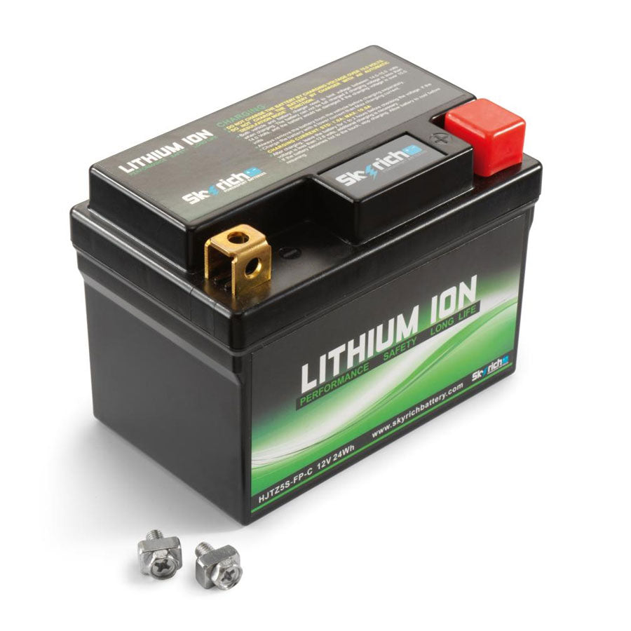 Skyrich Lithium Ion Battery (79111053000)