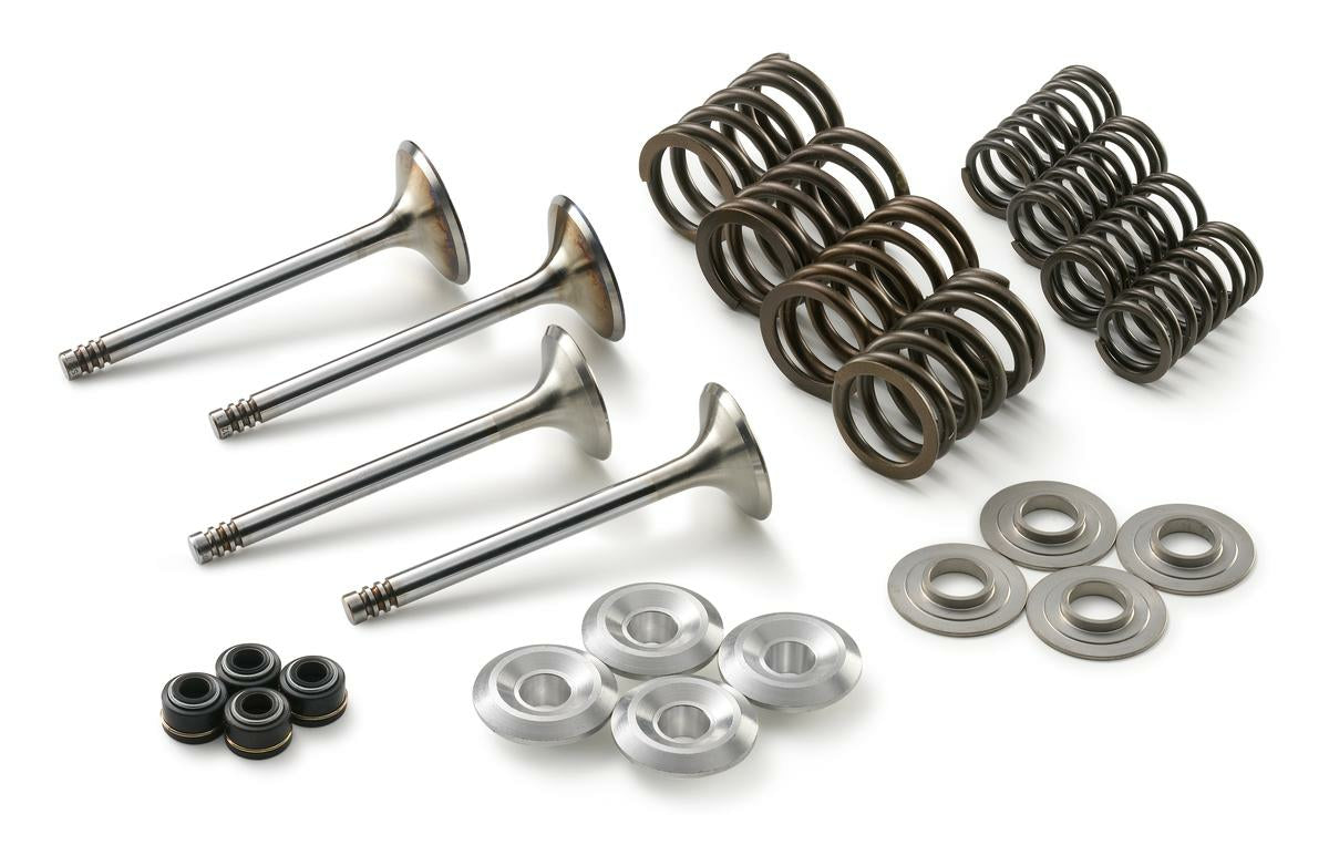 Valve spring 450 2020