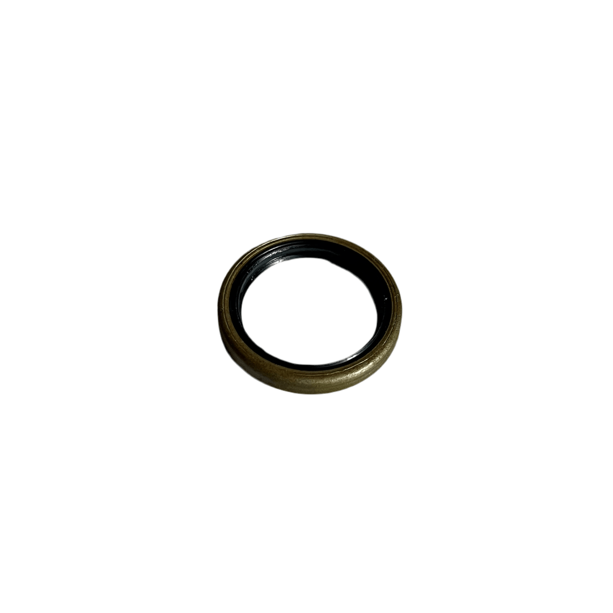 SHAFT SEAL RING G22x28x4