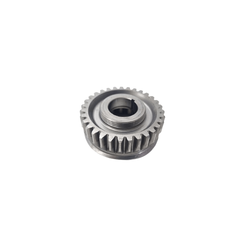 primary gear 31t