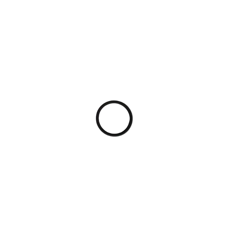 O-ring 23x2,5 Viton 75SH