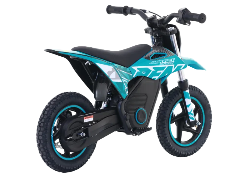 RFN Warrior SX-E250 Electric Dirt Bike Blue