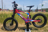 RXF EVO Racing 18 Youth Electric Dirt Bike