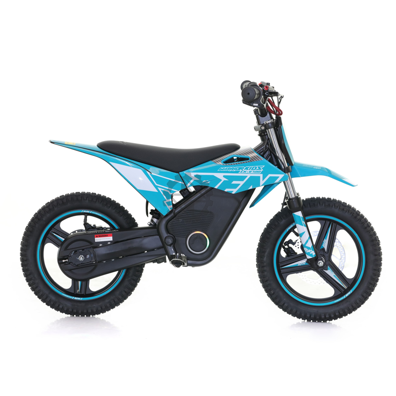 RFN Warrior SX-E700 Electric Dirt Bike